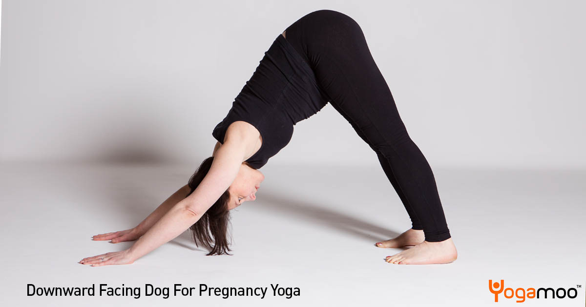 Downward Facing Dog Pregnancy