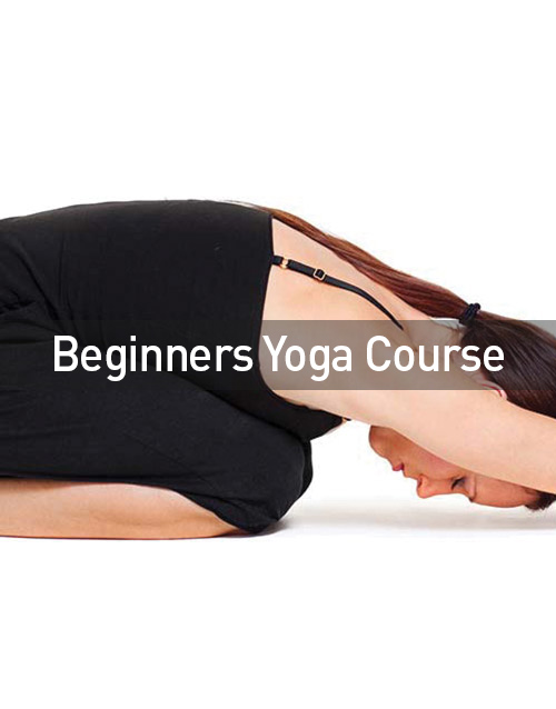 Beginners Yoga Course