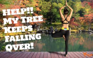 Help!! My Tree Keeps Falling Over!