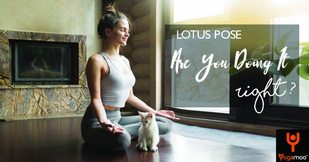 Lotus Pose or Padmasana Are You Doing It Right