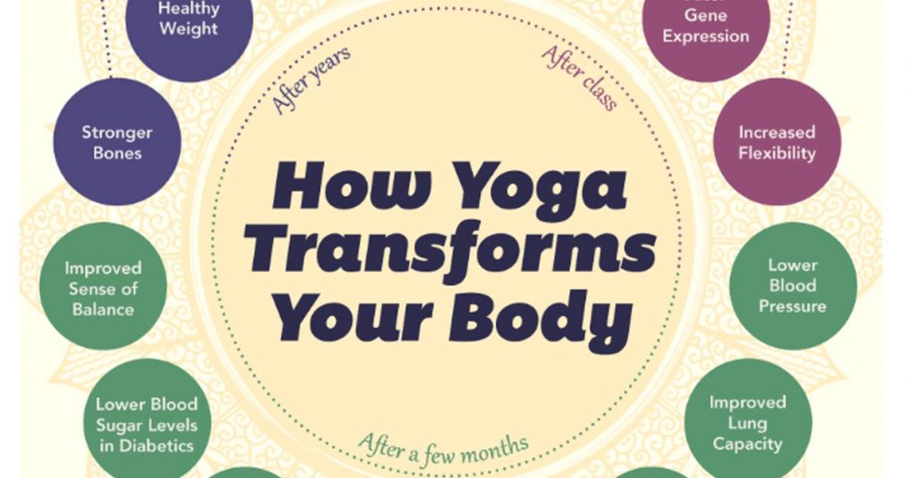 how yoga transforms your body