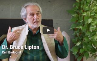 The Science Of Yoga – An Amazing Documentary About The Benefits Of Yoga